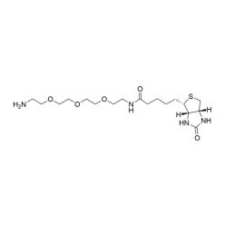 Vector Labs CCT-1187-1000 Biotin-PEG3-Amine - 1000 mg (1/EA)