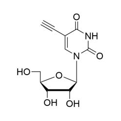 Vector Labs CCT-1261-100 5-Ethynyl Uridine (5-EU) - 100 mg (1/EA)