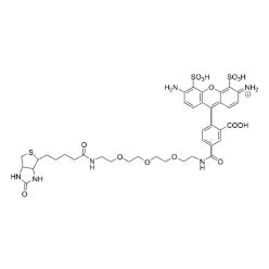 Vector Labs CCT-1395-5 AZDye 488 Biotin - 5 mg (1/EA)
