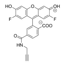 Vector Labs CCT-1397-1 OG 488 Alkyne - 1 mg (1/EA)