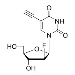 Vector Labs CCT-1403-500 F-ara-EdU - 500 mg (1/EA)