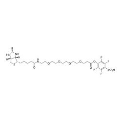 Vector Labs CCT-1404-100 Biotin-PEG4-STP Ester - 100 mg (1/EA)