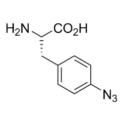 Vector Labs CCT-1406-1G 4-Azido-L-phenylalanine - 1 g (1/EA)