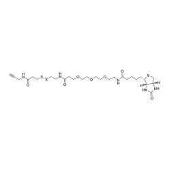 Vector Labs CCT-1498-25 Disulfide Biotin Alkyne - 25 mg (1/EA)