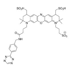 Vector Labs CCT-1504-25 AZDye 660R Tetrazine - 25 mg (1/EA)
