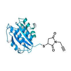 Vector Labs CCT-1536 BSA Alkyne (1/EA)