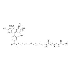 Vector Labs CCT-1555-25 AZDye 488 Gly-Gly-Gly - 25 mg (1/EA)