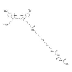 Vector Labs CCT-1584-25 Cy3 Gly-Gly-Gly - 25 mg (1/EA)
