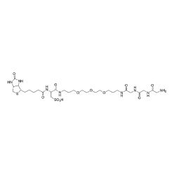 Vector Labs CCT-1595-25 Biotin Gly-Gly-Gly - 25 mg (1/EA)