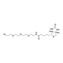 Vector Labs CCT-AZ104-25 Biotin-PEG3-Azide - 25 mg (1/EA)