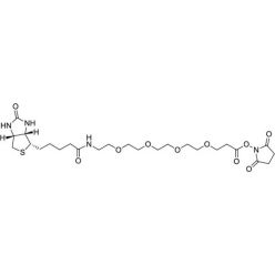 Vector Labs CCT-B103-25 Biotin-PEG4-NHS Ester - 25 mg (1/EA)