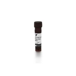 Vector Labs CI-3060-.5 Goat Anti-Human Kappa Chain Antibody, AMCA, 0.5 mg (1/EA)