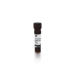 Vector Labs CI-3070-.5 Goat Anti-Human Lambda Chain Antibody, AMCA, 0.5 mg (1/EA)