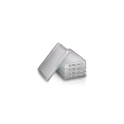384W 100uL 0.45 PVDF PHI 50/PK