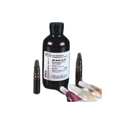 BROTH MFENDO 100ML BOTTLE 1/PK RG