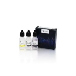 Vector Labs DK-2594 VectaFluor Excel Amplified Anti-Mouse IgG, DyLight™ 594 Antibody Kit, 1 Kit (1/EA)