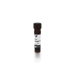 Vector Labs DL-1048-1 Lens Culinaris Agglutinin (LCA), DyLight™ 649, 1 mg (1/EA)