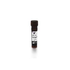 Vector Labs DL-1178-1 Lycopersicon Esculentum (Tomato) Lectin (LEL, TL), DyLight™ 649, 1 mg (1/EA)