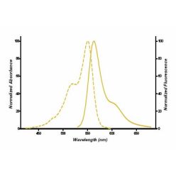 Enzo ENZ-42505 Cyanine 3-UTP (enhanced) (250 nmol)