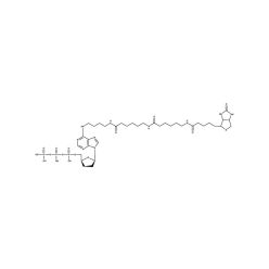 Enzo ENZ-42809 Bio-N6-ddATP (25 nmol)