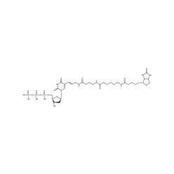 Enzo ENZ-42811 Bio-16-dUTP (50 nmol)