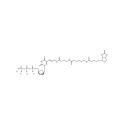 Enzo ENZ-42813 Bio-16-ddUTP . tetralithium salt (25 nmol)