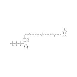 Enzo ENZ-42817 Bio-17-ATP (250 nmol)
