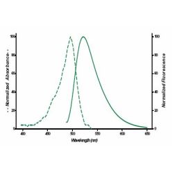 Enzo ENZ-42834 Fluorescein-12-UTP (250 nmol)