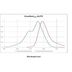 Enzo ENZ-42855 SEEBRIGHT® Red 598 dUTP (25 nmol)