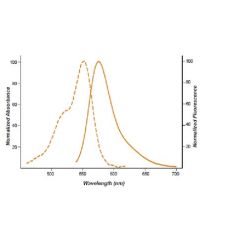 Enzo ENZ-42856 (6) TAMRA-12-ddUTP (25 µl)