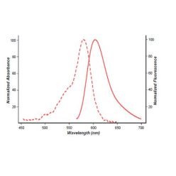 Enzo ENZ-42857 (6) ROX-12-ddUTP (25 µl)