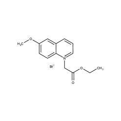 Enzo ENZ-52156 MQAE (ultra pure) (100 mg)