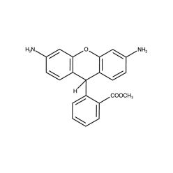 Enzo ENZ-52302 Dihydrorhodamine 123 (ultra pure) (10 mg)