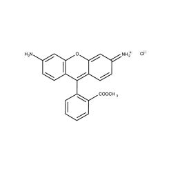 Enzo ENZ-52307 Rhodamine 123 (ultra pure) (25 mg)