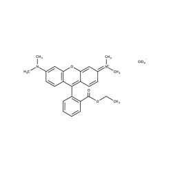 Enzo ENZ-52309 TMRE (ultra pure) (25 mg)