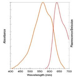 Enzo ENZ-52406 NUCLEAR-ID® Red DNA stain (200 µl)