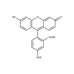 Enzo ENZ-52451 5-FITC (ultra pure) (1 g)
