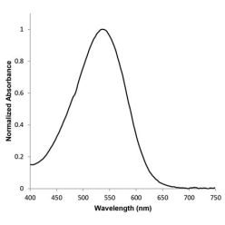 Enzo ENZ-CHM165-0001 EQ1 NHS ester (1 mg)