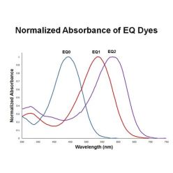 Enzo ENZ-CHM208-0001 EQ0 NHS ester (1 mg)
