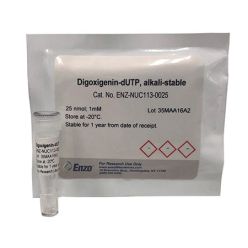 Enzo ENZ-NUC113-0025 Digoxigenin-dUTP, alkali-stable (25 nmol)