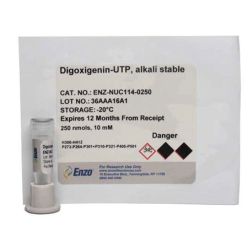 Enzo ENZ-NUC114-0250 Digoxigenin-UTP, alkali-stable (250 nmol)