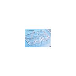 CELLCOAT TC-Plate, 6 Well COL I