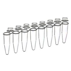 Sapphire PCR 2.0ml breakable strips, with individual attached optical caps for Real Time PCR