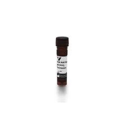 Vector Labs FI-1000-1.5 Goat Anti-Rabbit IgG Antibody (H+L), Fluorescein, 1.5 mg (1/EA)