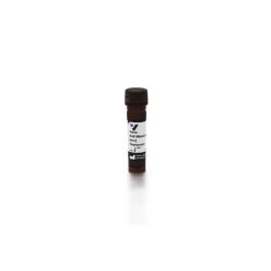 Vector Labs FI-2000-1.5 Horse Anti-Mouse IgG Antibody (H+L), Fluorescein, 1.5 mg (1/EA)