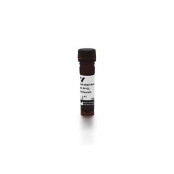 Vector Labs FI-3000-1.5 Goat Anti-Human IgG Antibody (H+L), Fluorescein, 1.5 mg (1/EA)