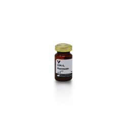 Vector Labs FL-1001-25 Concanavalin A (Con A), Fluorescein, 25 mg (1/EA)