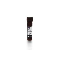 Vector Labs FL-1011-2 Soybean Agglutinin (SBA), Fluorescein, 2 mg (1/EA)
