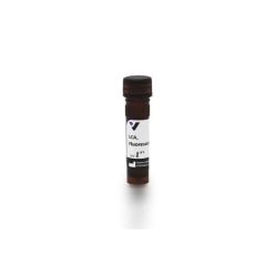 Vector Labs FL-1041-5 Lens Culinaris Agglutinin (LCA), Fluorescein, 5 mg (1/EA)