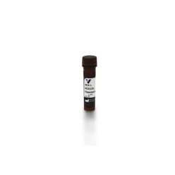Vector Labs FL-1081-1 Ricinus Communis Agglutinin I (RCA I, RCA120), Fluorescein, 1 mg (1/EA)
